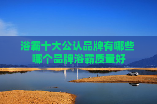 浴霸十大公认品牌有哪些 哪个品牌浴霸质量好