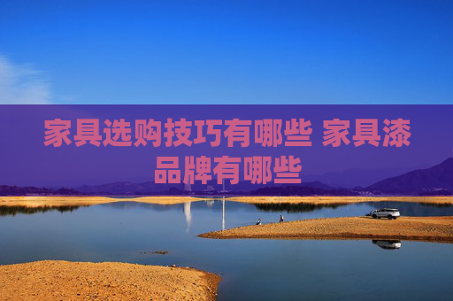 家具选购技巧有哪些 家具漆品牌有哪些