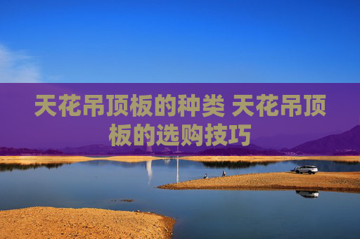 天花吊顶板的种类 天花吊顶板的选购技巧