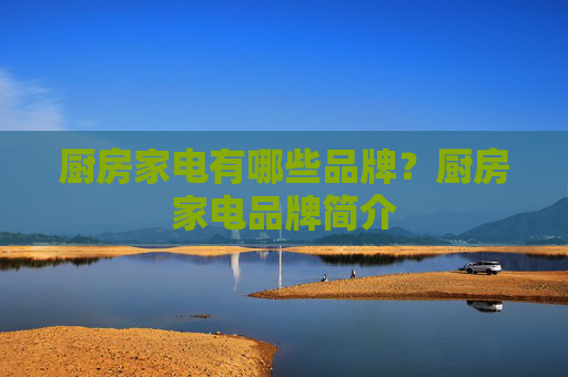 厨房家电有哪些品牌？厨房家电品牌简介