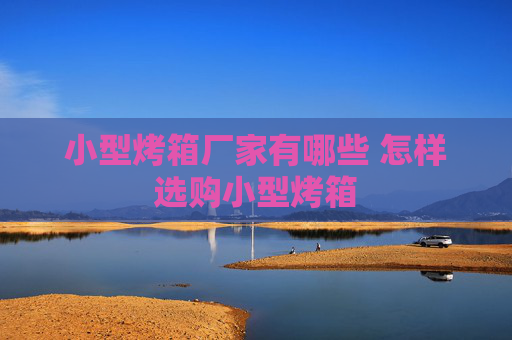 小型烤箱厂家有哪些 怎样选购小型烤箱