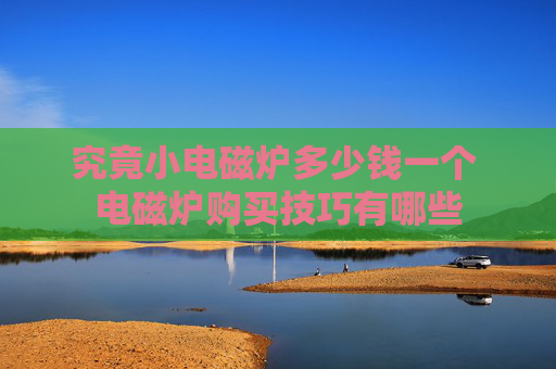 究竟小电磁炉多少钱一个 电磁炉购买技巧有哪些
