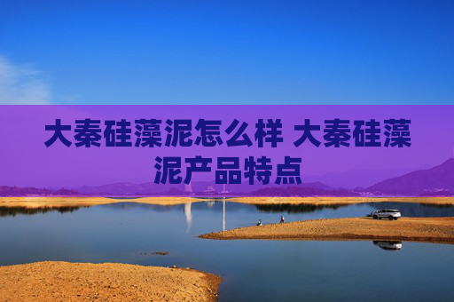 大秦硅藻泥怎么样 大秦硅藻泥产品特点