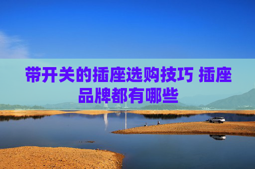 带开关的插座选购技巧 插座品牌都有哪些