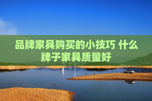 品牌家具购买的小技巧 什么牌子家具质量好