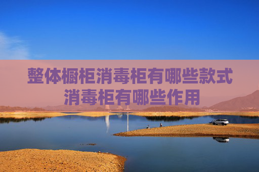 整体橱柜消毒柜有哪些款式 消毒柜有哪些作用