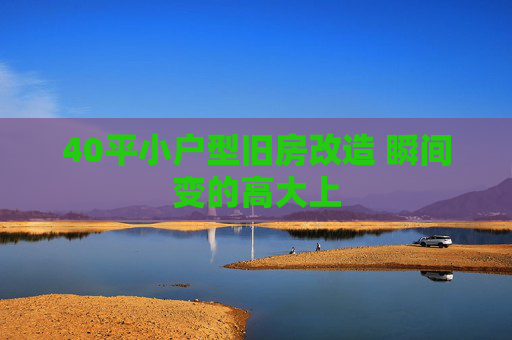 40平小户型旧房改造 瞬间变的高大上