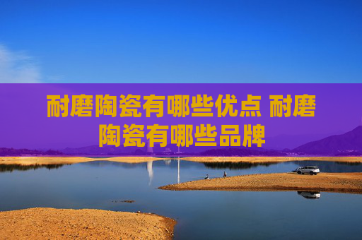 耐磨陶瓷有哪些优点 耐磨陶瓷有哪些品牌