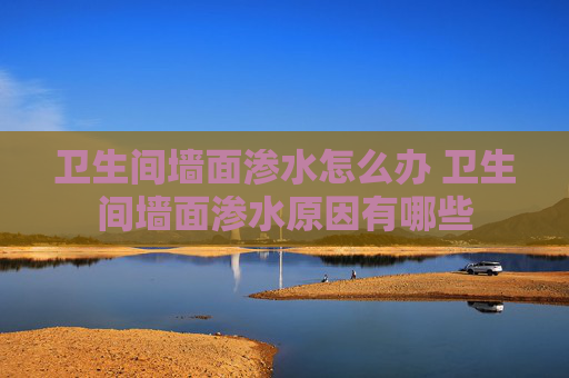 卫生间墙面渗水怎么办 卫生间墙面渗水原因有哪些