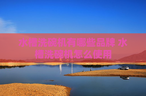 水槽洗碗机有哪些品牌 水槽洗碗机怎么使用