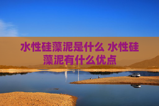 水性硅藻泥是什么 水性硅藻泥有什么优点