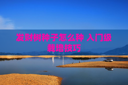 发财树种子怎么种 入门级栽培技巧
