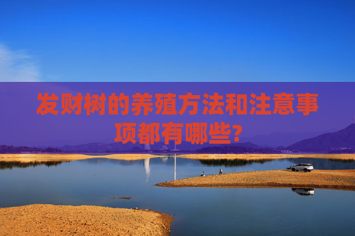 发财树的养殖方法和注意事项都有哪些?