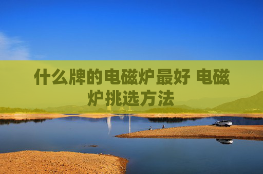 什么牌的电磁炉最好 电磁炉挑选方法