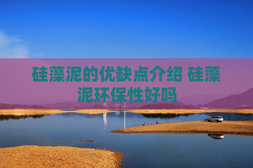 硅藻泥的优缺点介绍 硅藻泥环保性好吗
