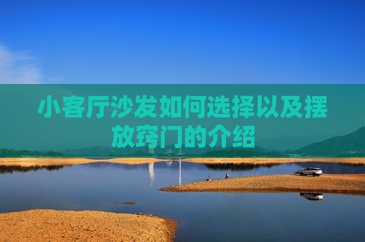 小客厅沙发如何选择以及摆放窍门的介绍
