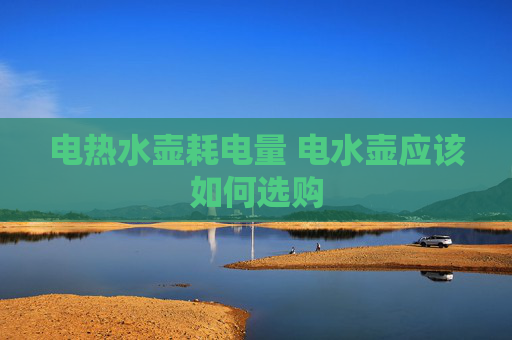 电热水壶耗电量 电水壶应该如何选购