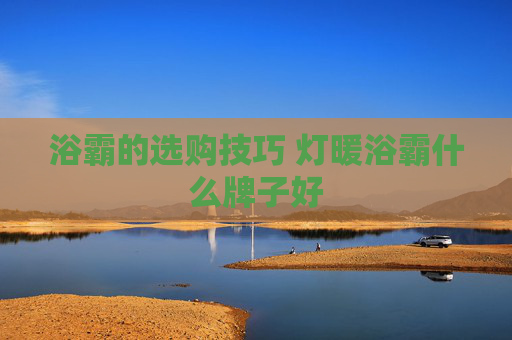 浴霸的选购技巧 灯暖浴霸什么牌子好