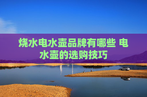 烧水电水壶品牌有哪些 电水壶的选购技巧