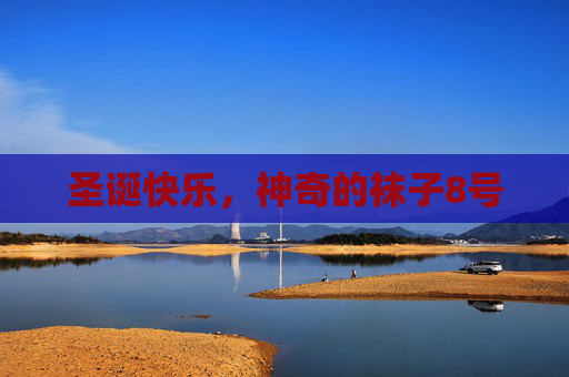 圣诞快乐，神奇的袜子8号