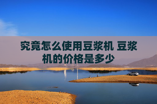 究竟怎么使用豆浆机 豆浆机的价格是多少