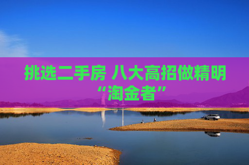 挑选二手房 八大高招做精明“淘金者”