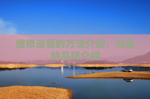 维修浴霸的方法介绍，浴霸的品牌介绍