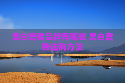黑白瓷砖品牌有哪些 黑白瓷砖选购方法