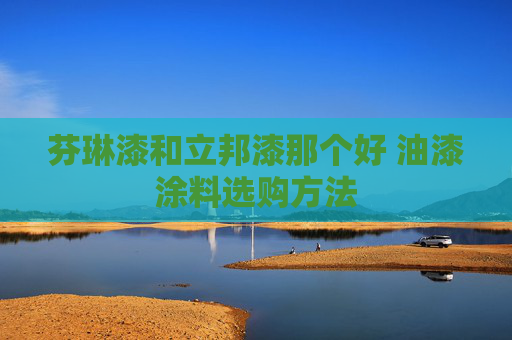 芬琳漆和立邦漆那个好 油漆涂料选购方法