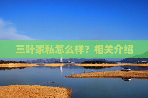 三叶家私怎么样？相关介绍