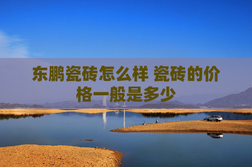 东鹏瓷砖怎么样 瓷砖的价格一般是多少