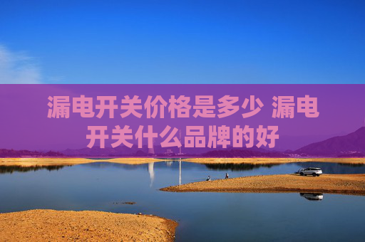 漏电开关价格是多少 漏电开关什么品牌的好