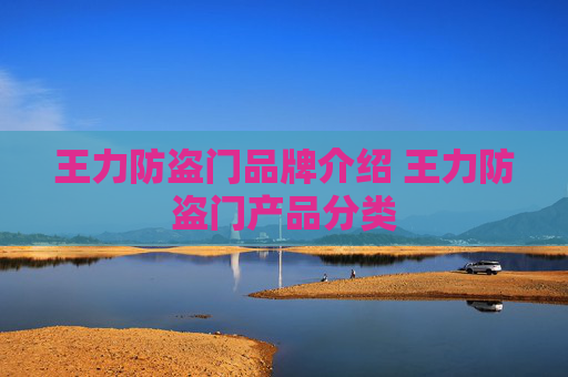 王力防盗门品牌介绍 王力防盗门产品分类