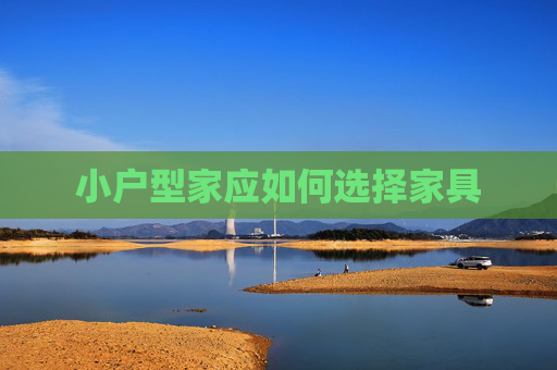 小户型家应如何选择家具