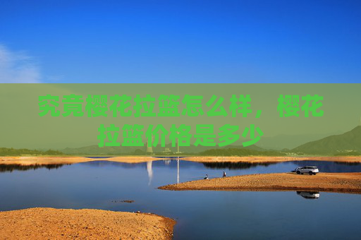究竟樱花拉篮怎么样，樱花拉篮价格是多少
