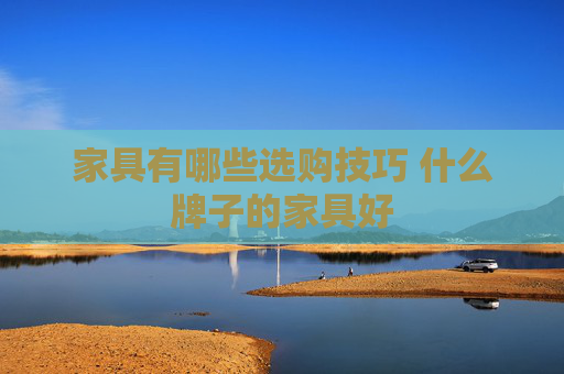 家具有哪些选购技巧 什么牌子的家具好