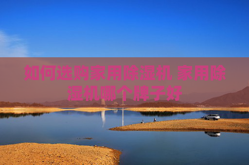 如何选购家用除湿机 家用除湿机哪个牌子好