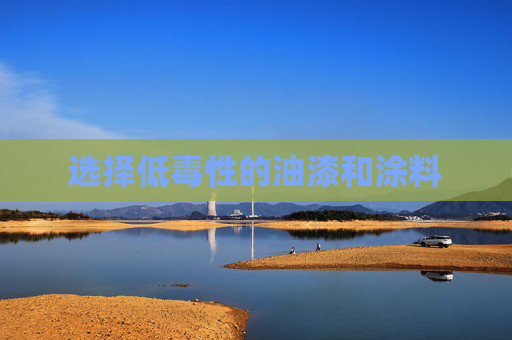 选择低毒性的油漆和涂料