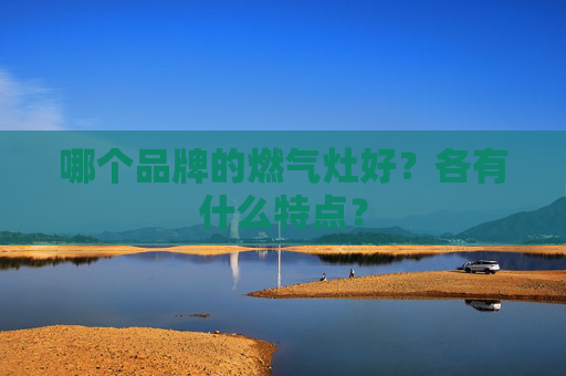 哪个品牌的燃气灶好？各有什么特点？