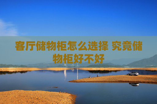客厅储物柜怎么选择 究竟储物柜好不好