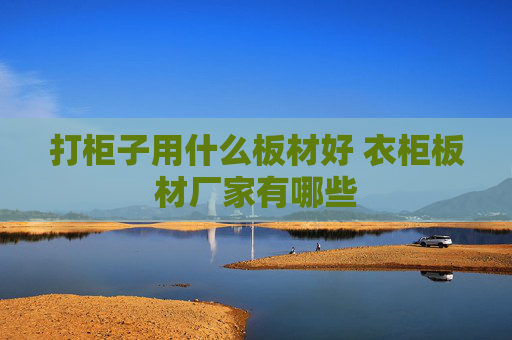 打柜子用什么板材好 衣柜板材厂家有哪些