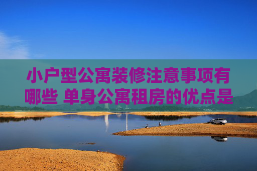 小户型公寓装修注意事项有哪些 单身公寓租房的优点是什么