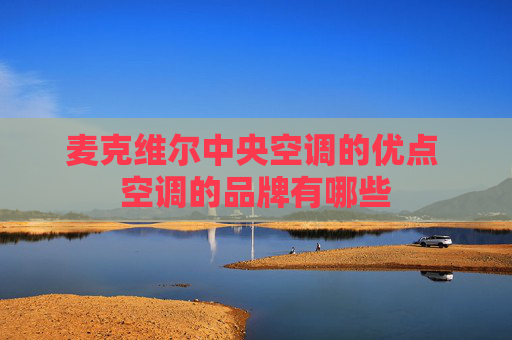 麦克维尔中央空调的优点 空调的品牌有哪些