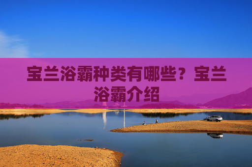 宝兰浴霸种类有哪些？宝兰浴霸介绍