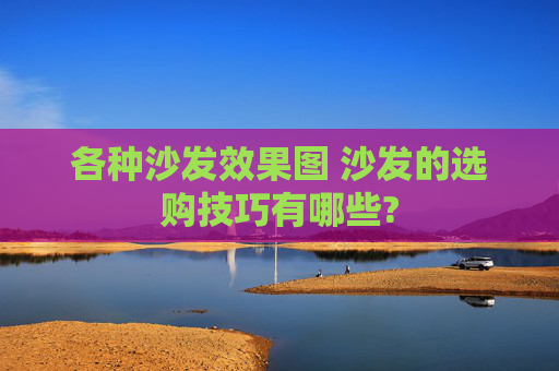 各种沙发效果图 沙发的选购技巧有哪些?