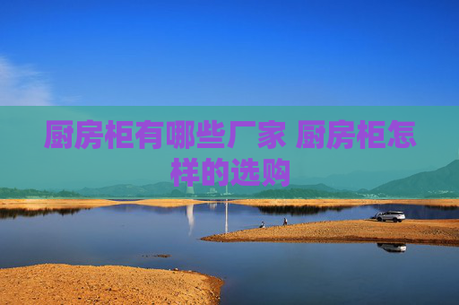 厨房柜有哪些厂家 厨房柜怎样的选购