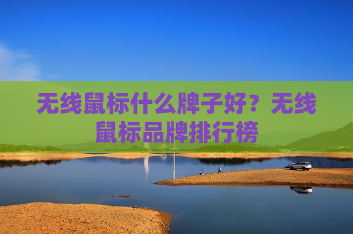 无线鼠标什么牌子好？无线鼠标品牌排行榜
