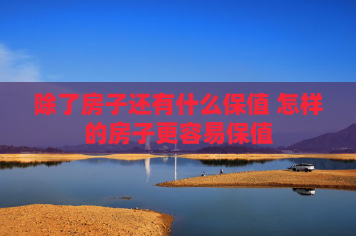 除了房子还有什么保值 怎样的房子更容易保值