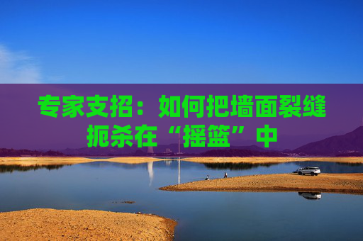 专家支招：如何把墙面裂缝扼杀在“摇篮”中