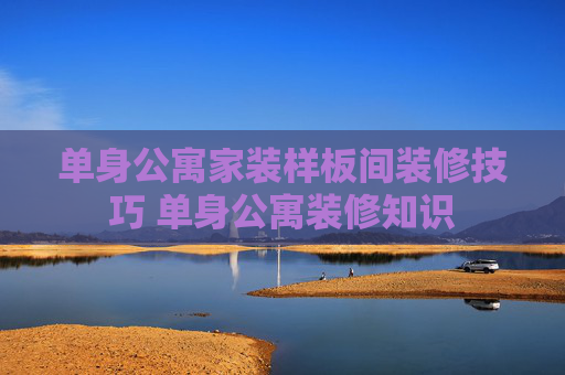 单身公寓家装样板间装修技巧 单身公寓装修知识